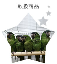 BIRD SHOPくるみの取扱商品