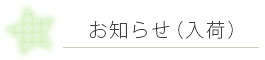 BIRD SHOPくるみの小鳥紹介